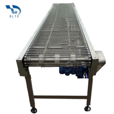 DLTE Stainless Steel Mesh Belt