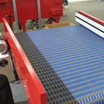 DLTE Intelligent Side Running Conveyor For Logistics Sorting System